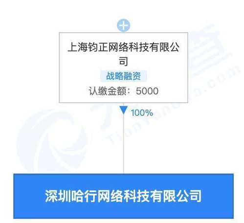 哈啰關聯公司在深圳設立新公司，拓展旅游與住宿服務